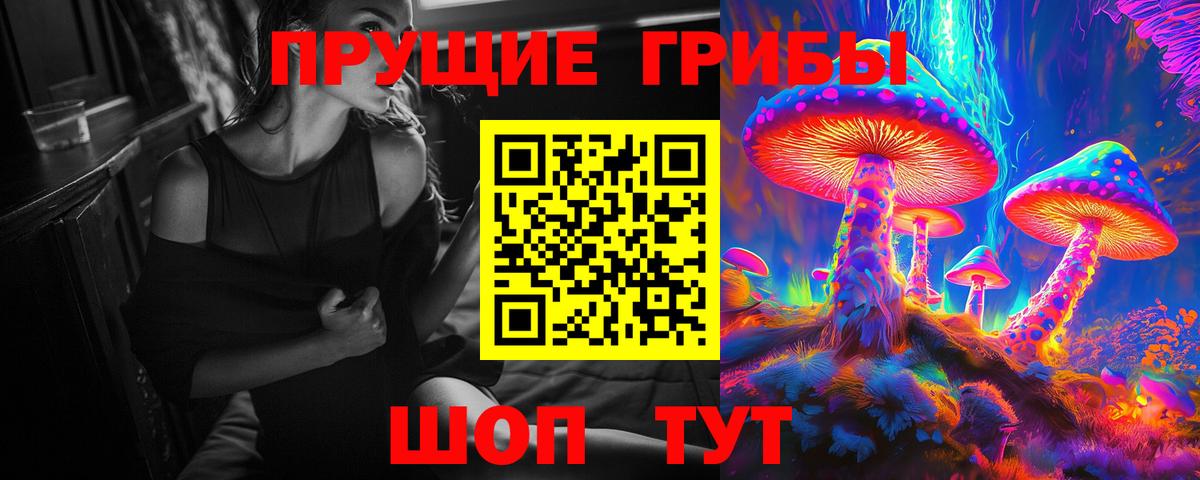 как найти закладки  Вход с VPN  Мирный  Галлюциногенные грибы Psilocybine cubensis 